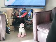 Quando cerchi di vedere la MotoGp con Roberta Gemma