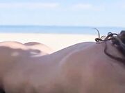 Pompino in spiaggia coppia nudista amatoriale