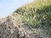 Moglie italiana tettona scopata in spiaggia nudista