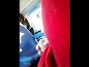 Sega davanti a ragazza in treno