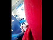 Sega davanti a ragazza in treno